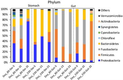 Environmental Temperatures Affect the Gastrointestinal Microbes of the Chinese Giant Salamander